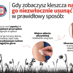 Jak zapobiec boreliozie: skuteczne metody ochrony przed kleszczami