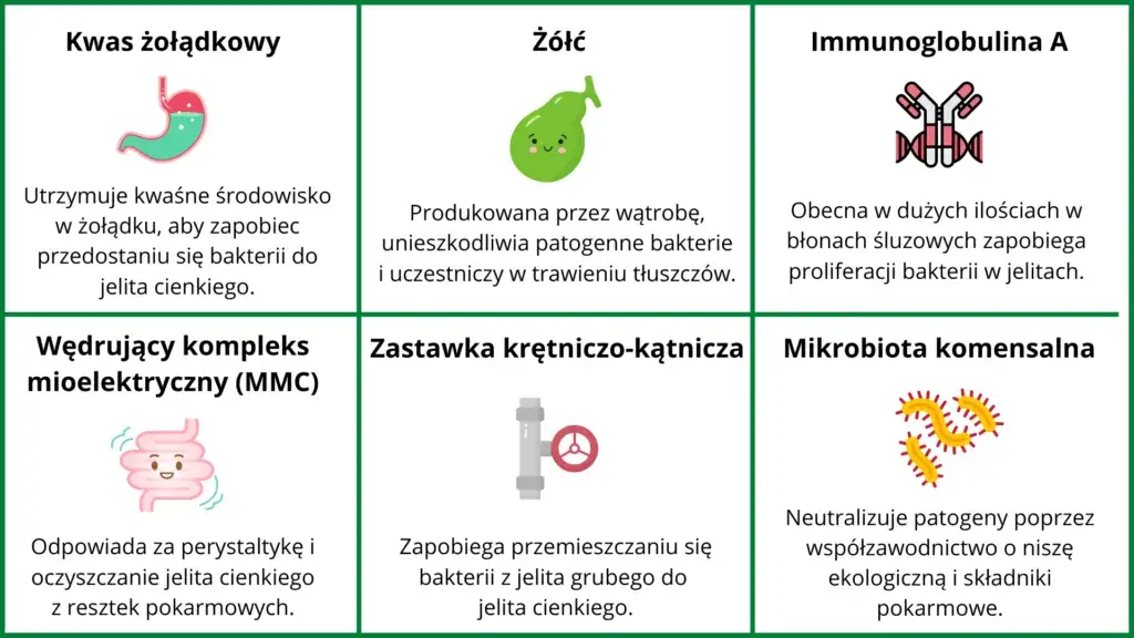 Zdjęcie Jakie badania na jelita pomogą uniknąć poważnych problemów zdrowotnych