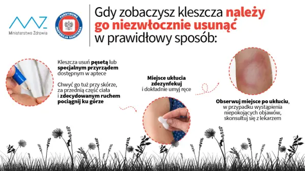 Jak zapobiec boreliozie: skuteczne metody ochrony przed kleszczami